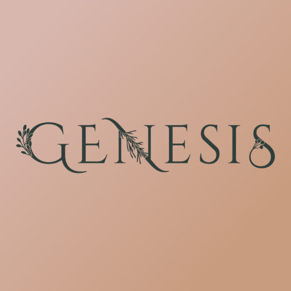 Genesis - Steps of Faith Performance Company 2021 Show
